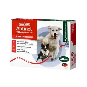 Antinol Joint Wellness Softgels for Dogs and Cats