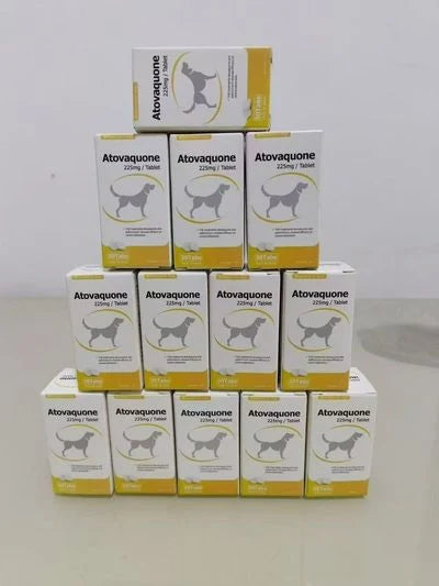Atovaquone 225 mg Tablets — supplied product packaging