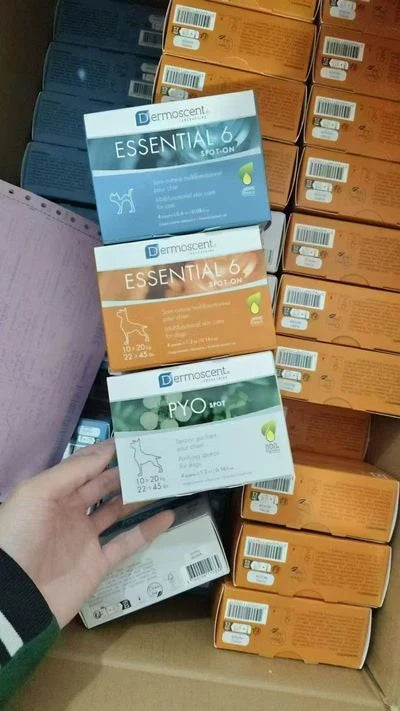 Dermoscent Essential 6 Spot-On and PYOspot — supplied product packaging